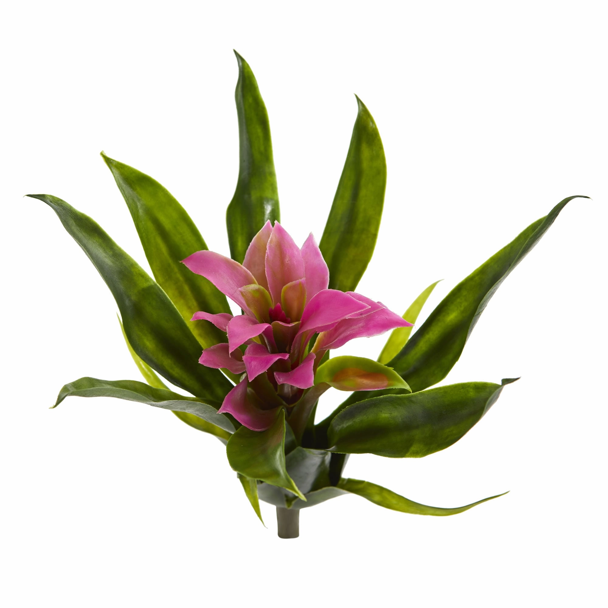 10" Bromeliad Bush (Set of 6)
