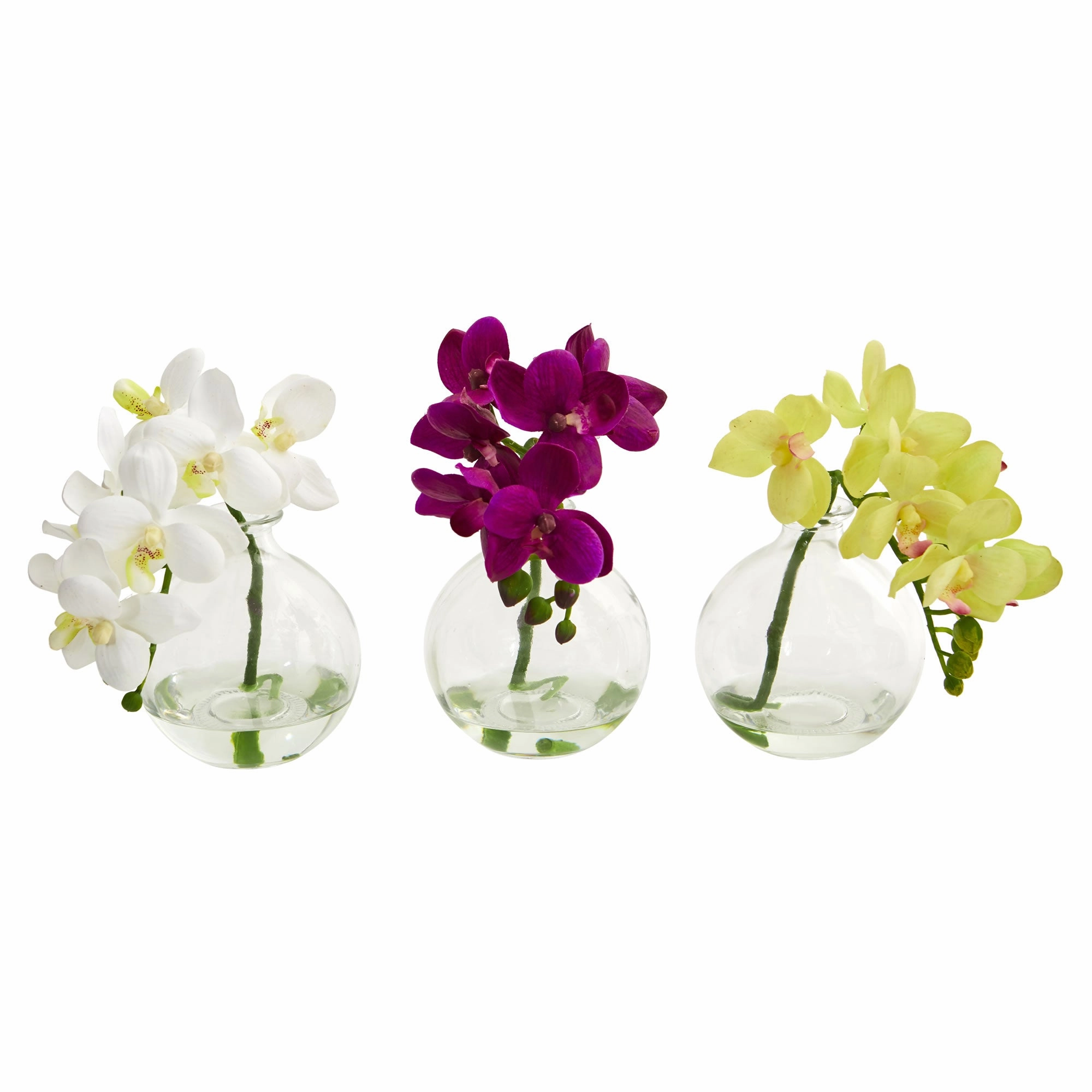 10" Phalaenopsis Pot (Set of 3) Faux Florals floral decor outlet