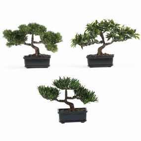 12" Bonsai Silk Plant Collection (Set of 3) Faux Florals online special
