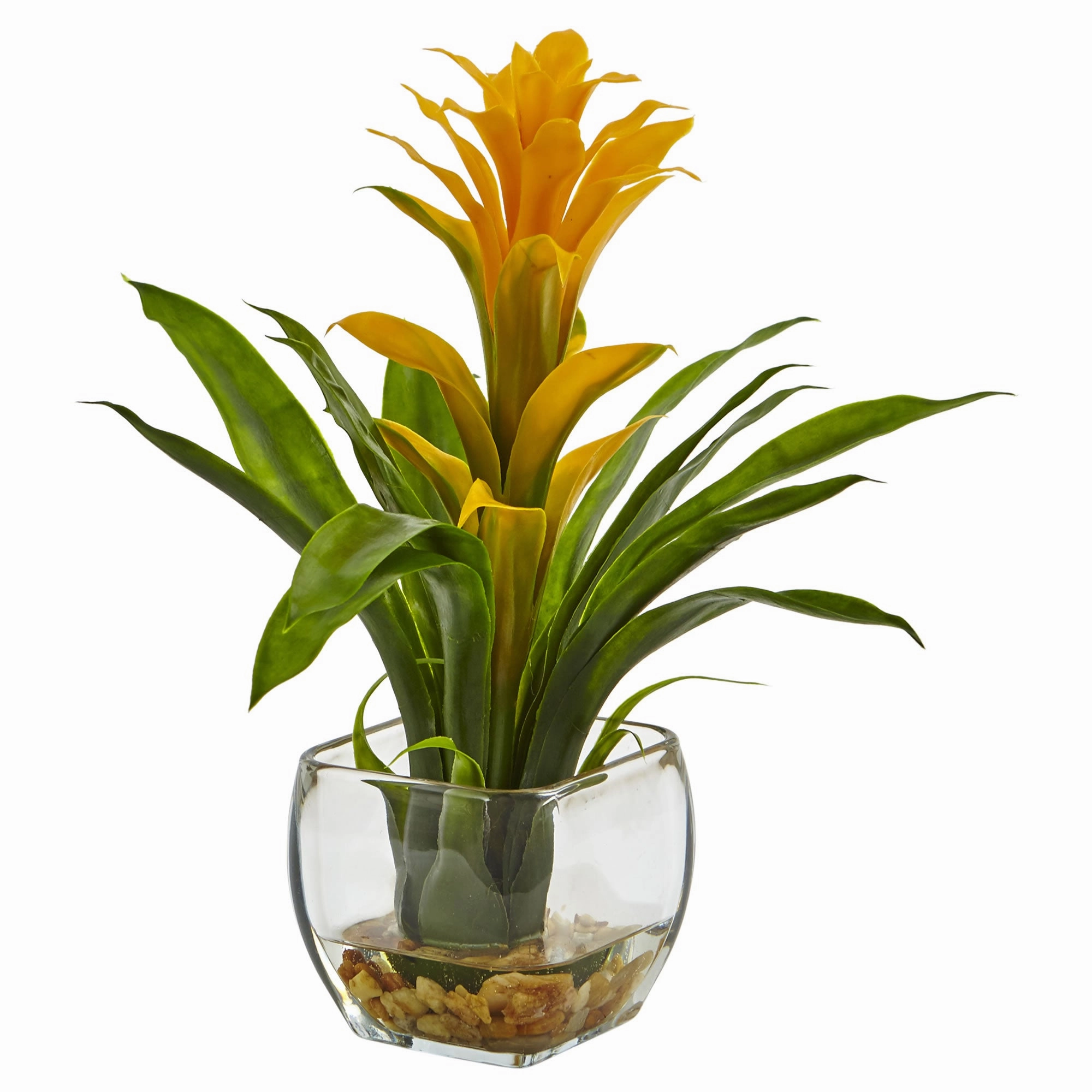 12" Bromeliad with Vase Arrangement Red