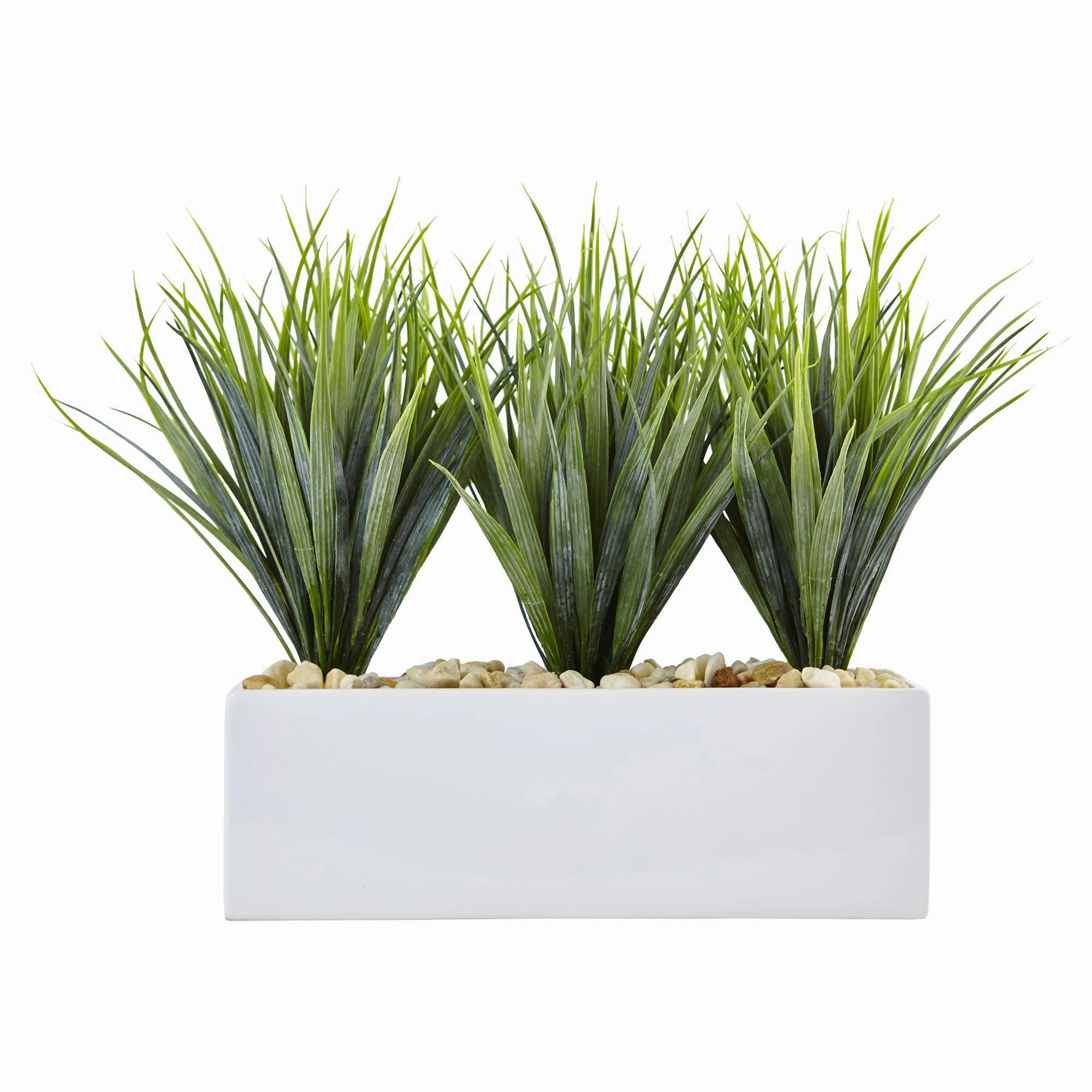 12" Vanilla Grass in Rectangular Planter