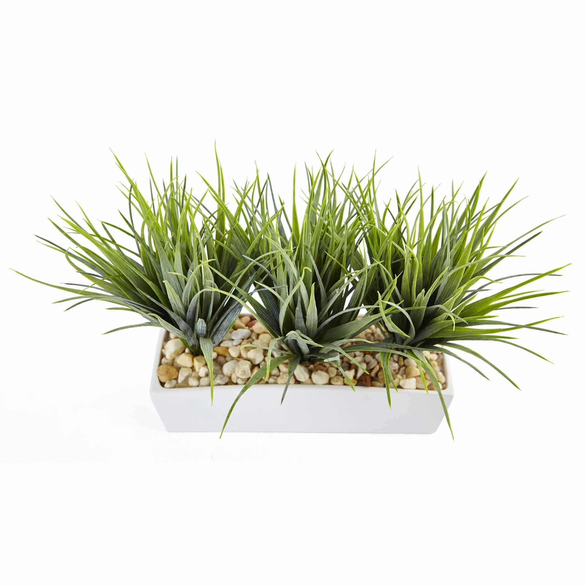 12" Vanilla Grass in Rectangular Planter
