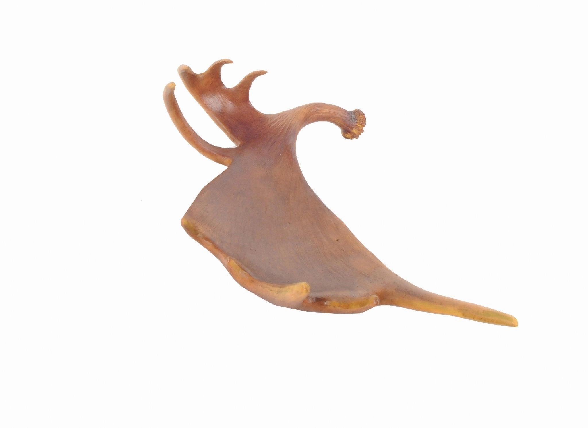 12" X 23.5" X 6.5" Deer Antler Tray Cooking Tools & Accessories outlet tools