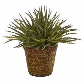 13" Aloe Artificial Plant in Basket Faux Florals online special