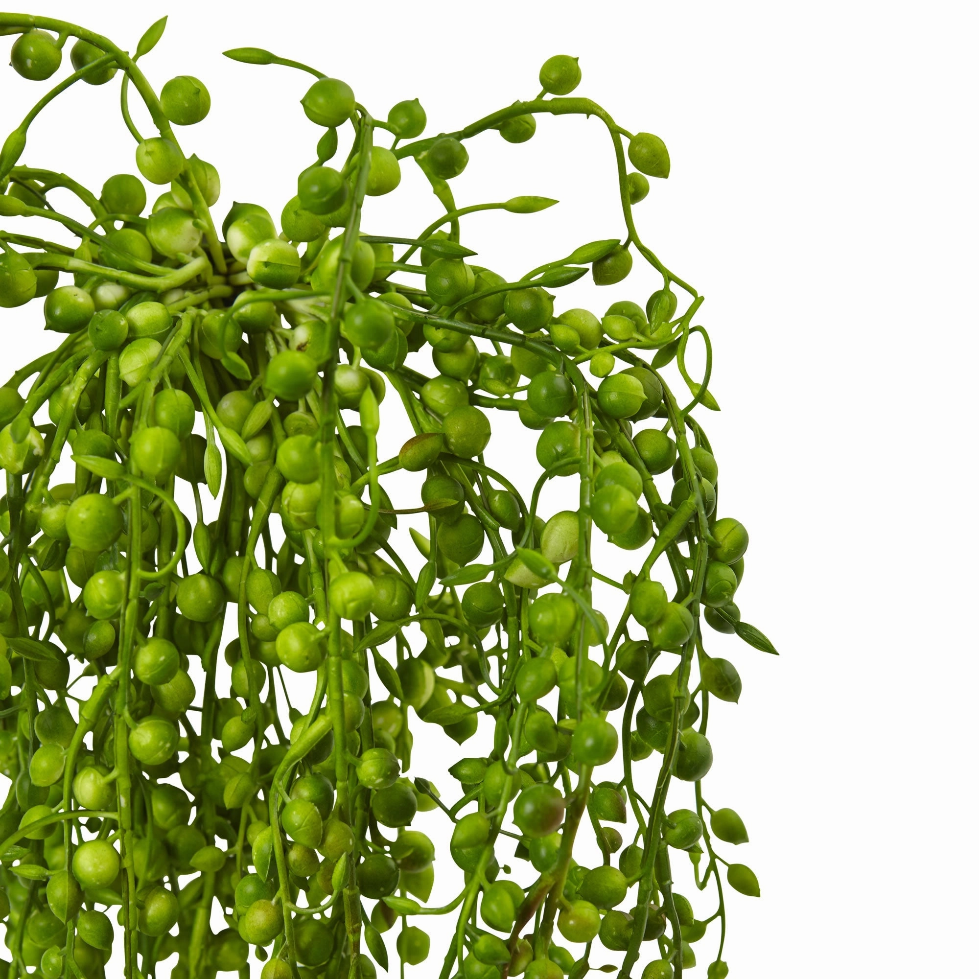 15" Senecio Succulent (Set of 3)