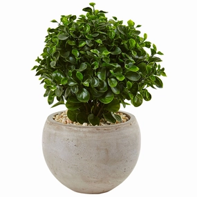 2' Eucalyptus in Bowl UV Resistant (Indoor/Outdoor) Faux Florals floral decor outlet