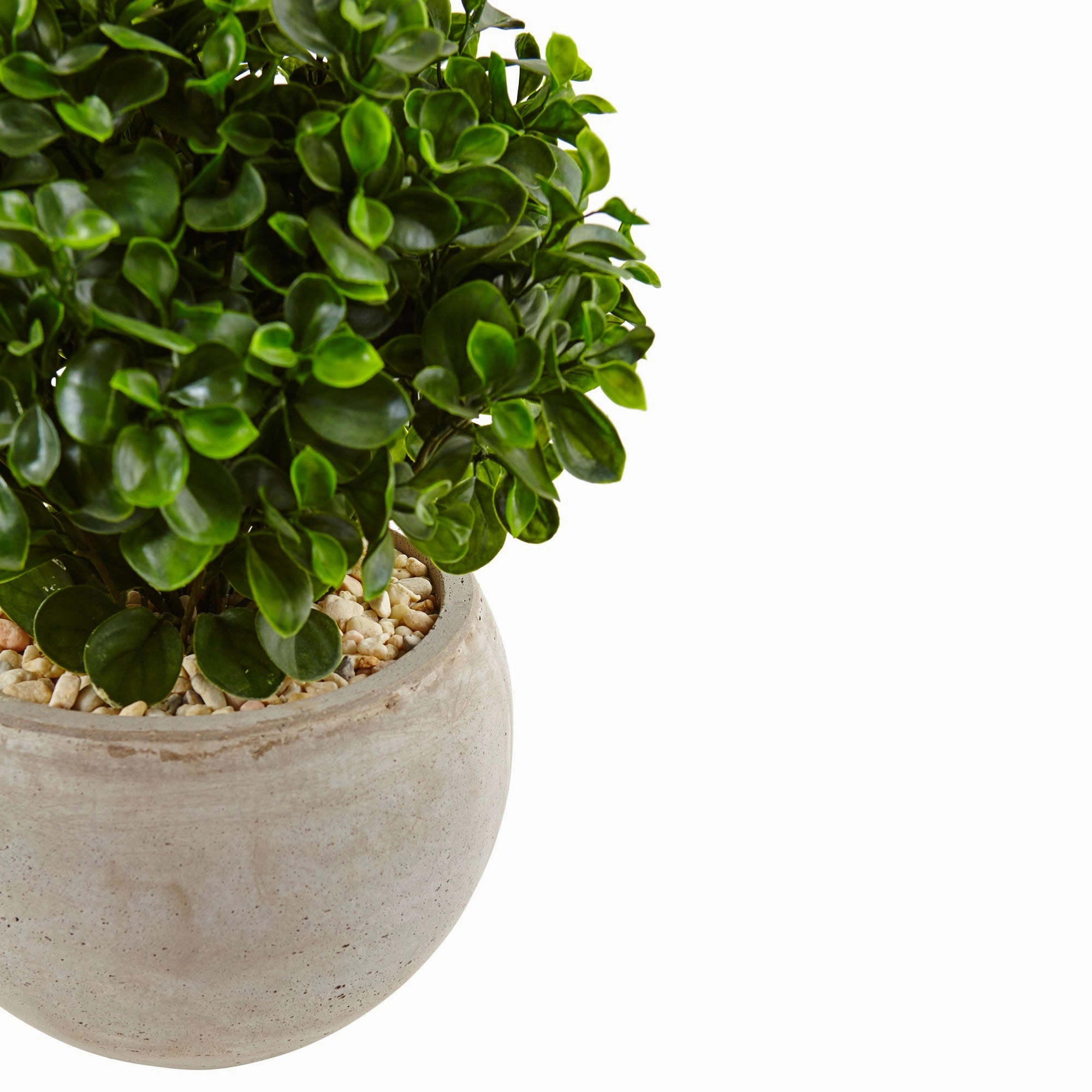 2' Eucalyptus in Bowl UV Resistant (Indoor/Outdoor)