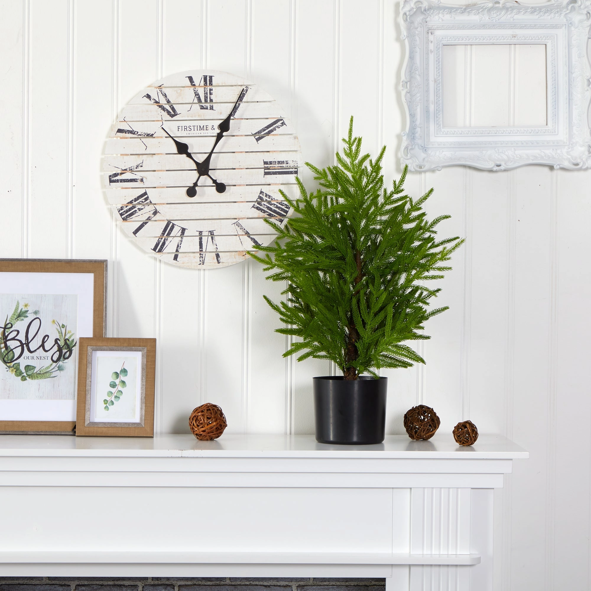 2' Norfolk Island Pine "Natural Look" Tree in Planter