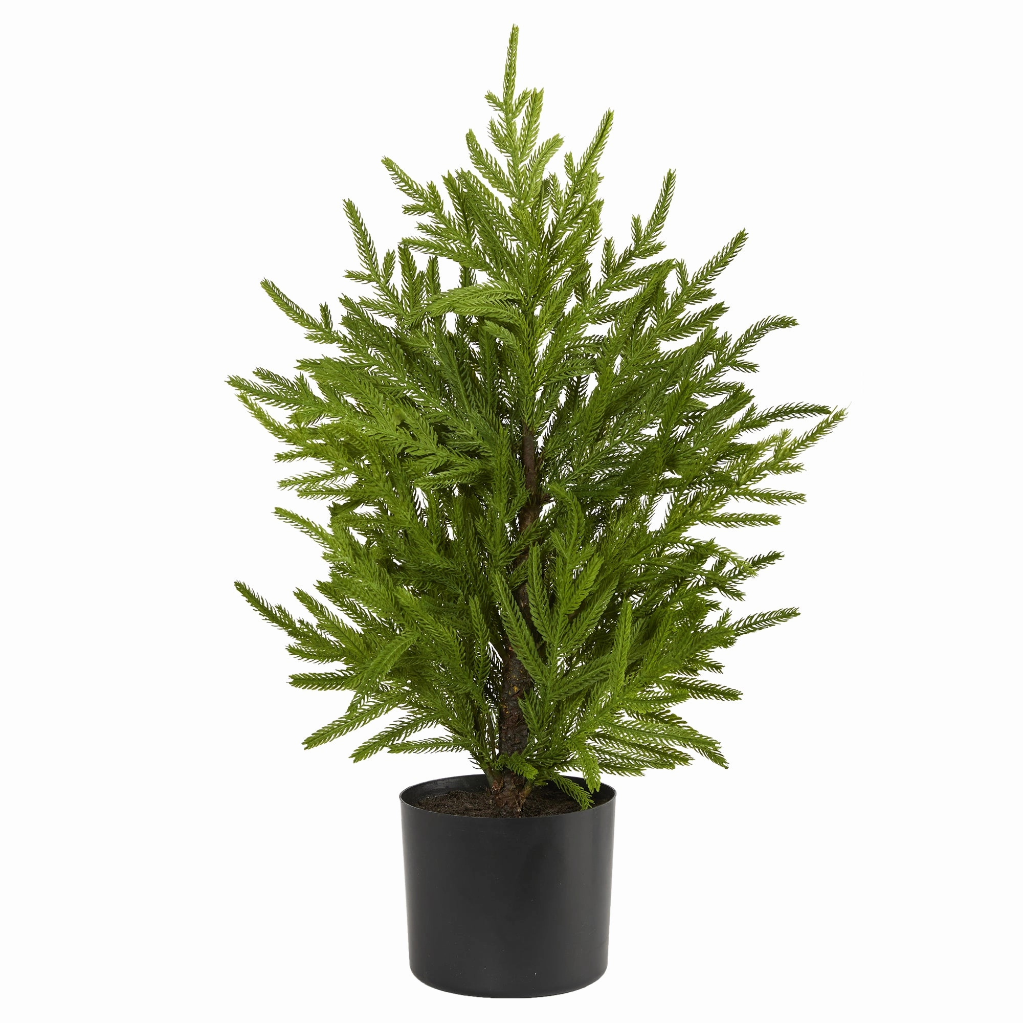 2' Norfolk Island Pine "Natural Look" Tree in Planter Faux Florals floral decor outlet