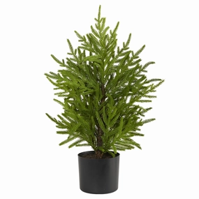 2' Norfolk Island Pine "Natural Look" Tree in Planter Faux Florals floral decor outlet