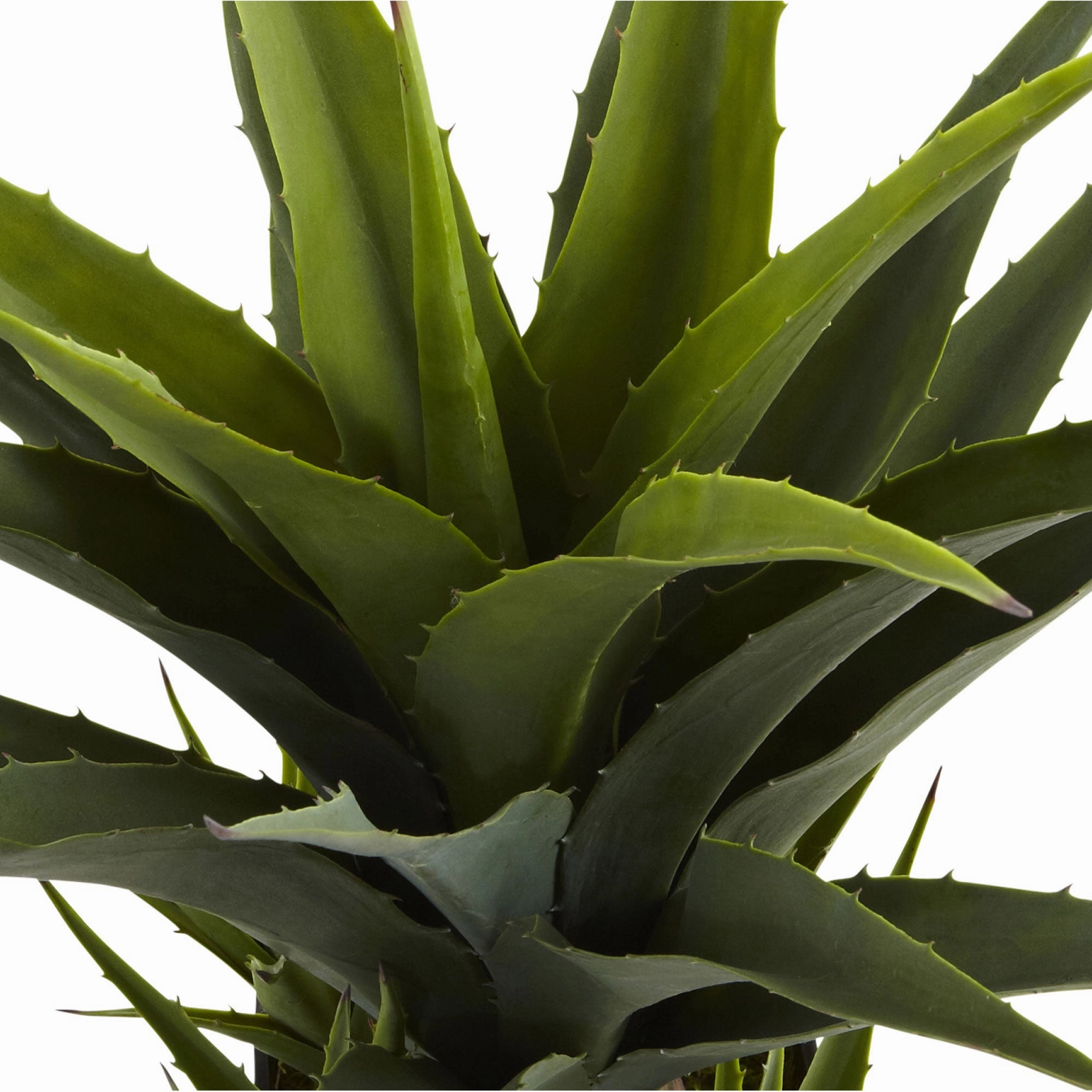 30" Agave w/Black Planter
