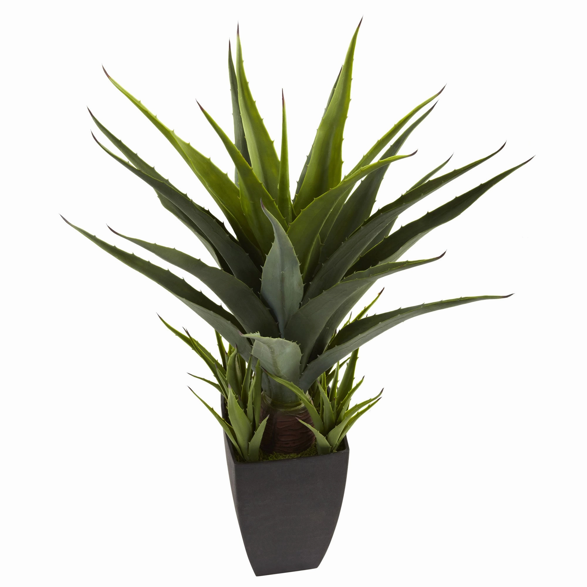 30" Agave w/Black Planter