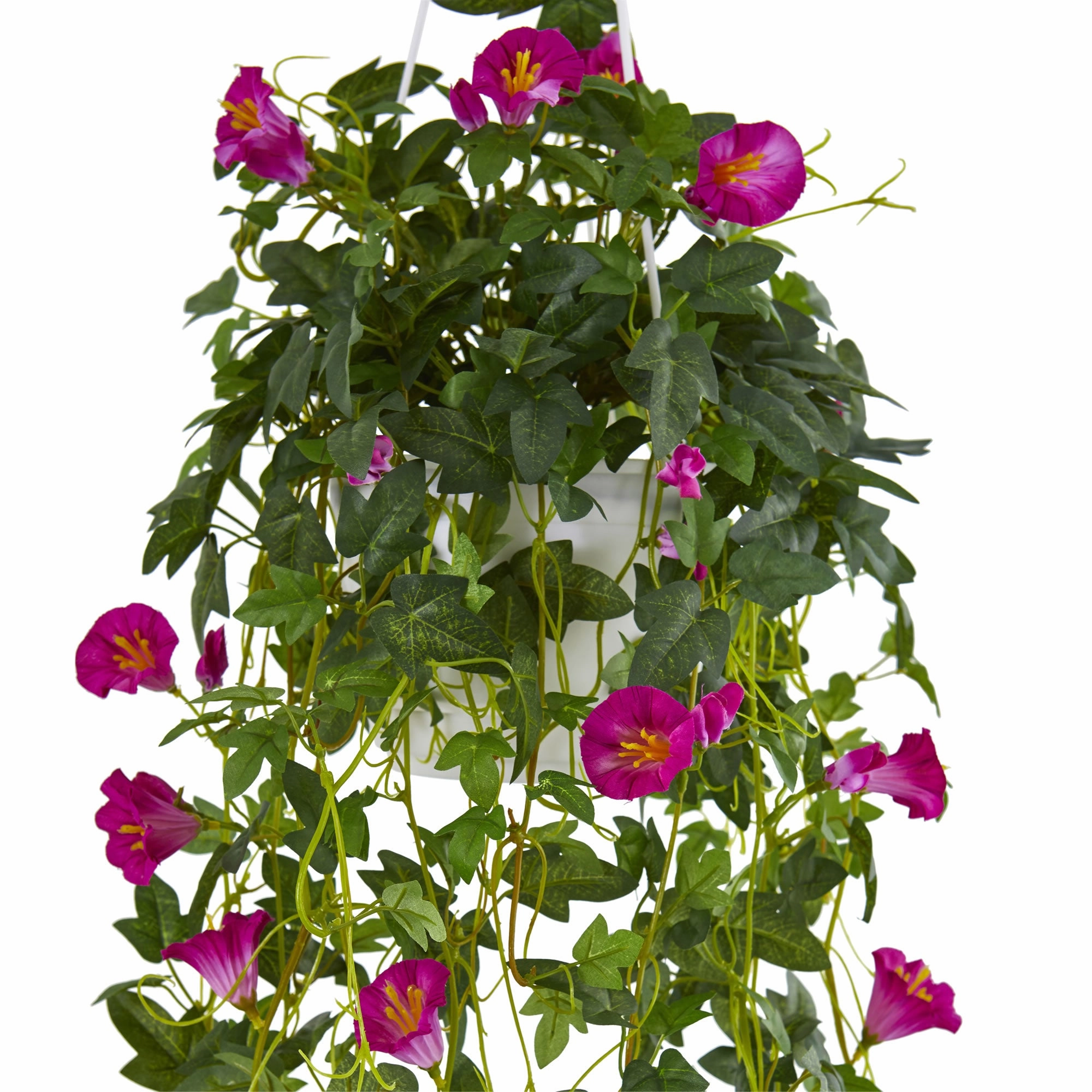 30" Petunia Hanging Basket