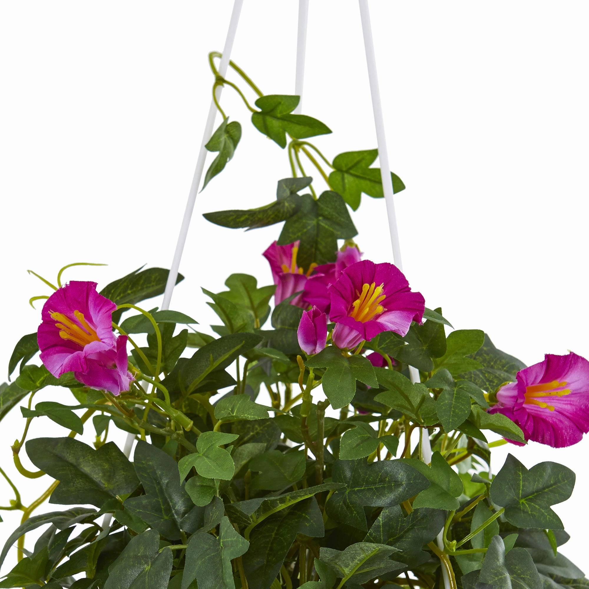 30" Petunia Hanging Basket