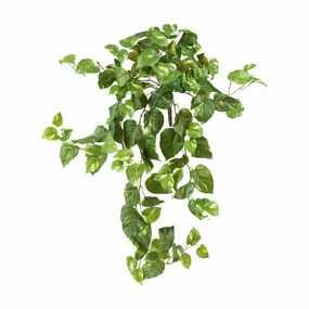 30" Pothos Hanging Bush (Set of 3) Faux Florals online special