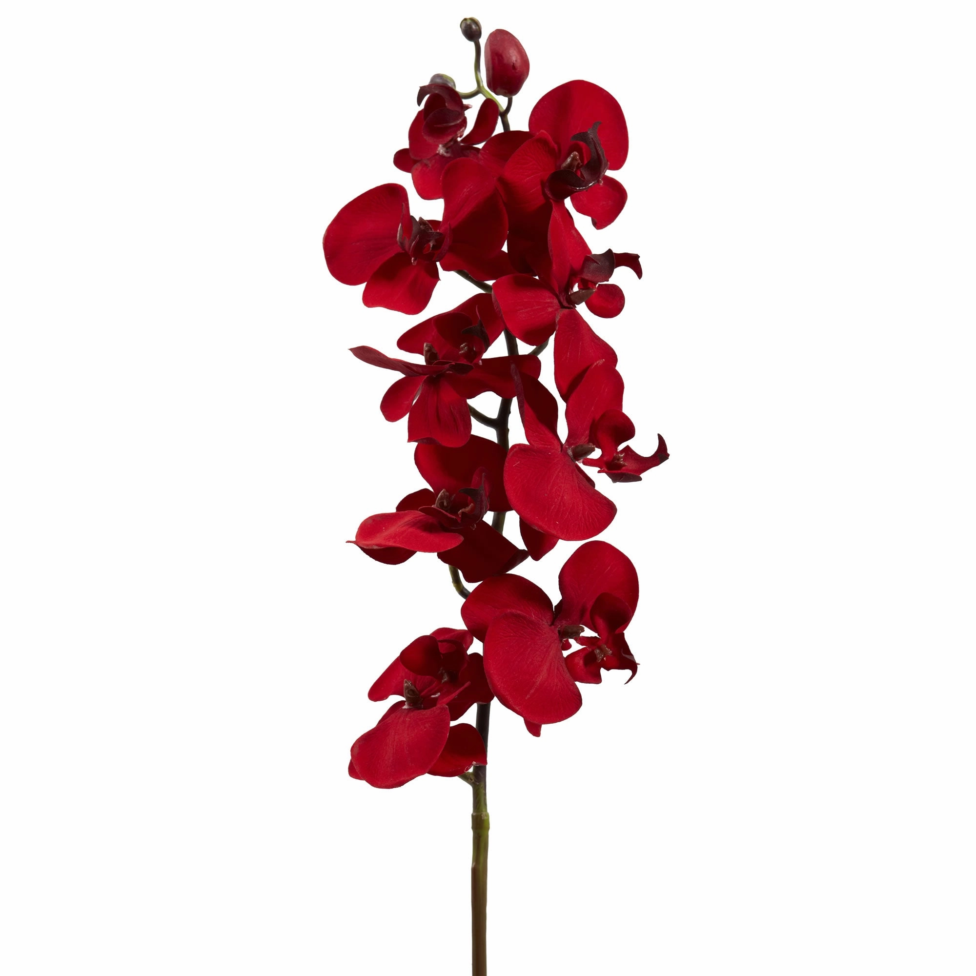 36" Christmas Phalaenopsis Artificial Flower (Set of 4)