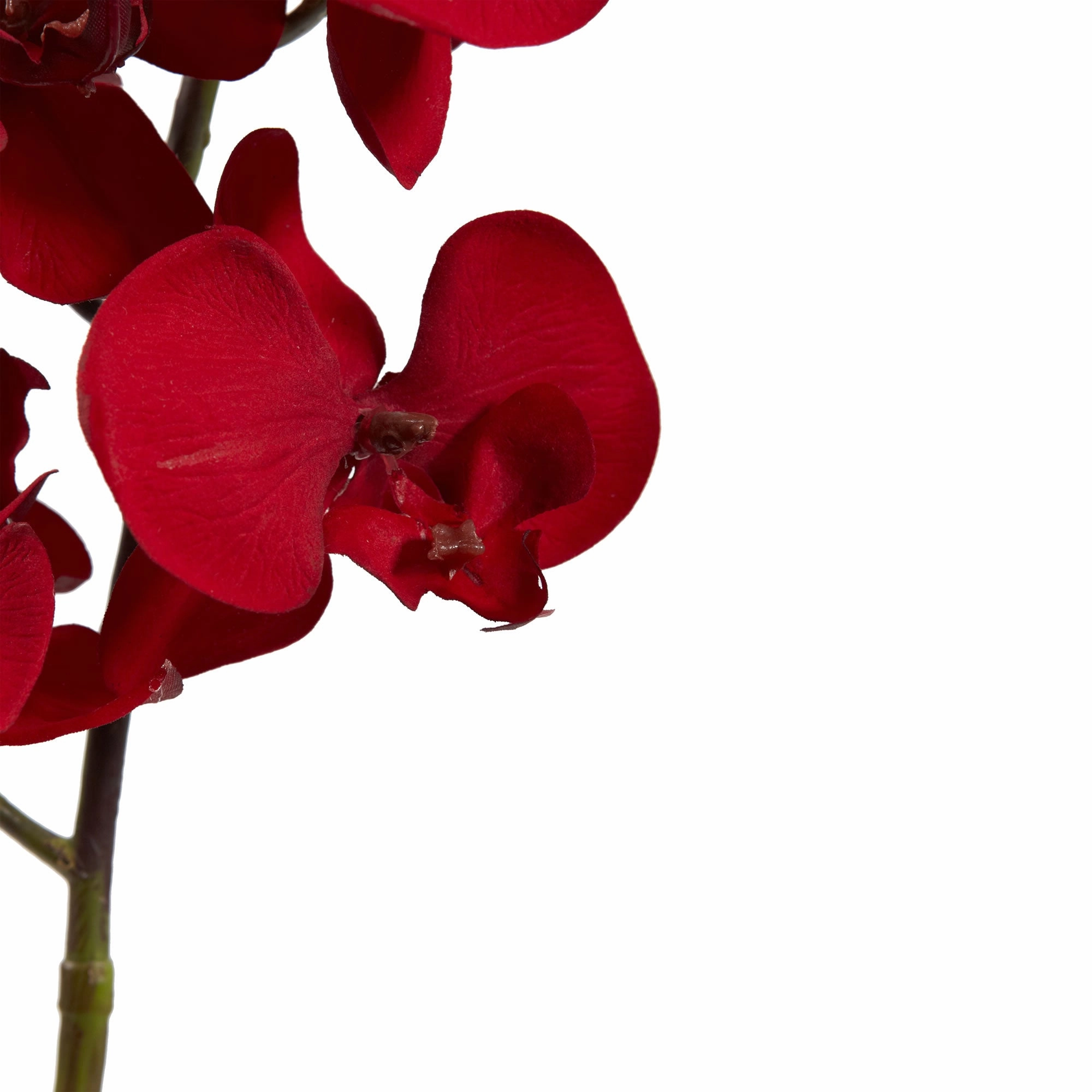 36" Christmas Phalaenopsis Artificial Flower (Set of 4)