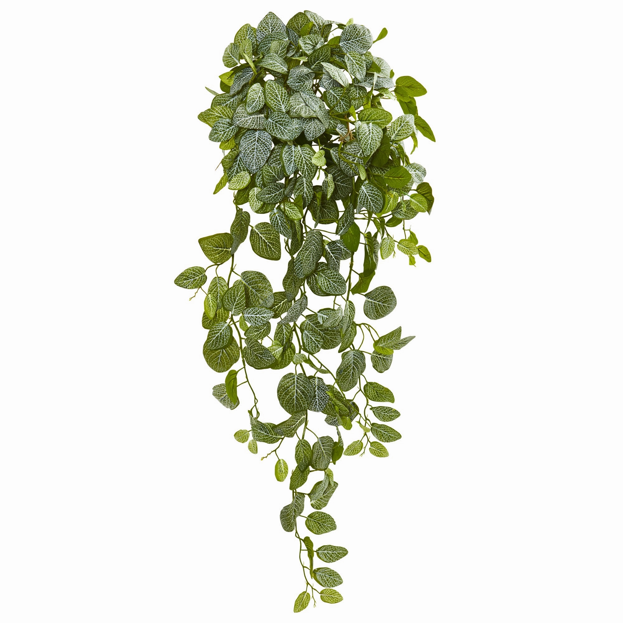 36" Fittonia Artificial Hanging Bush (Set of 2)(Real Touch) Faux Florals floral decor outlet