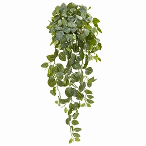 36" Fittonia Artificial Hanging Bush (Set of 2)(Real Touch) Faux Florals floral decor outlet