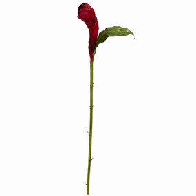 36" Ginger Artificial Flower (Set of 3) Faux Florals best price deals