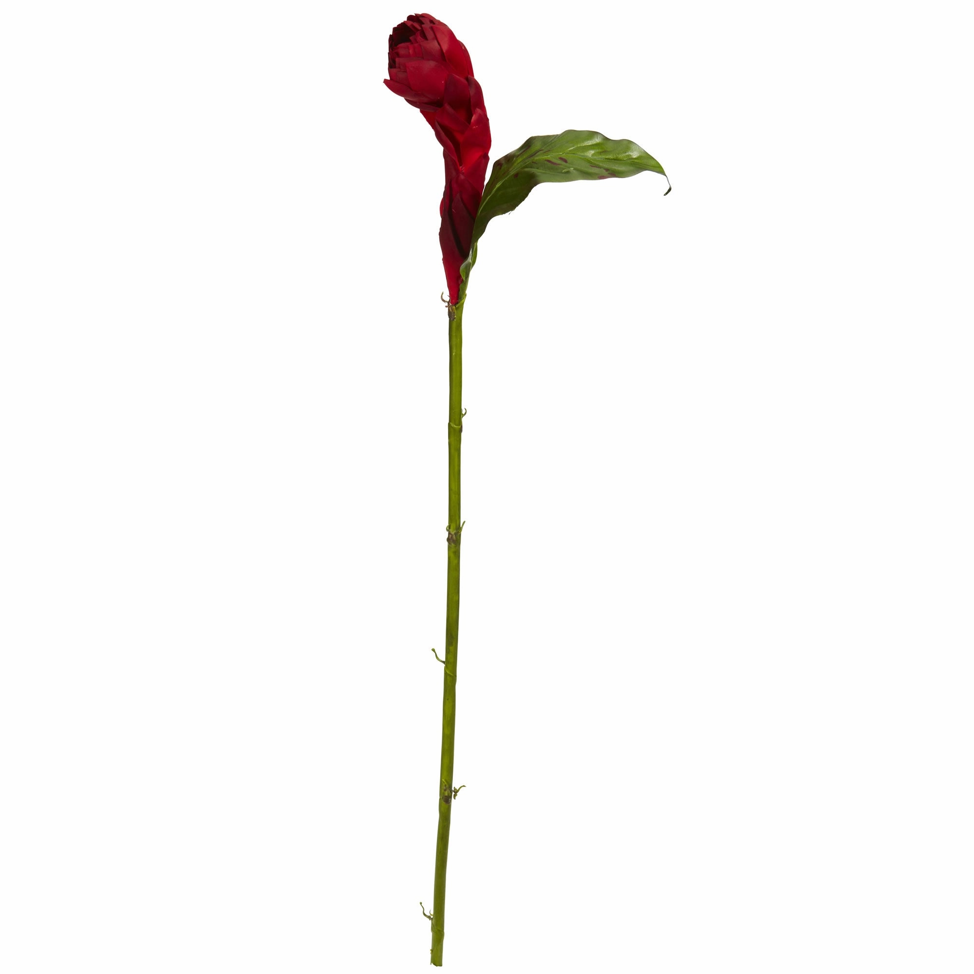36" Ginger Artificial Flower (Set of 3) Faux Florals best price deals