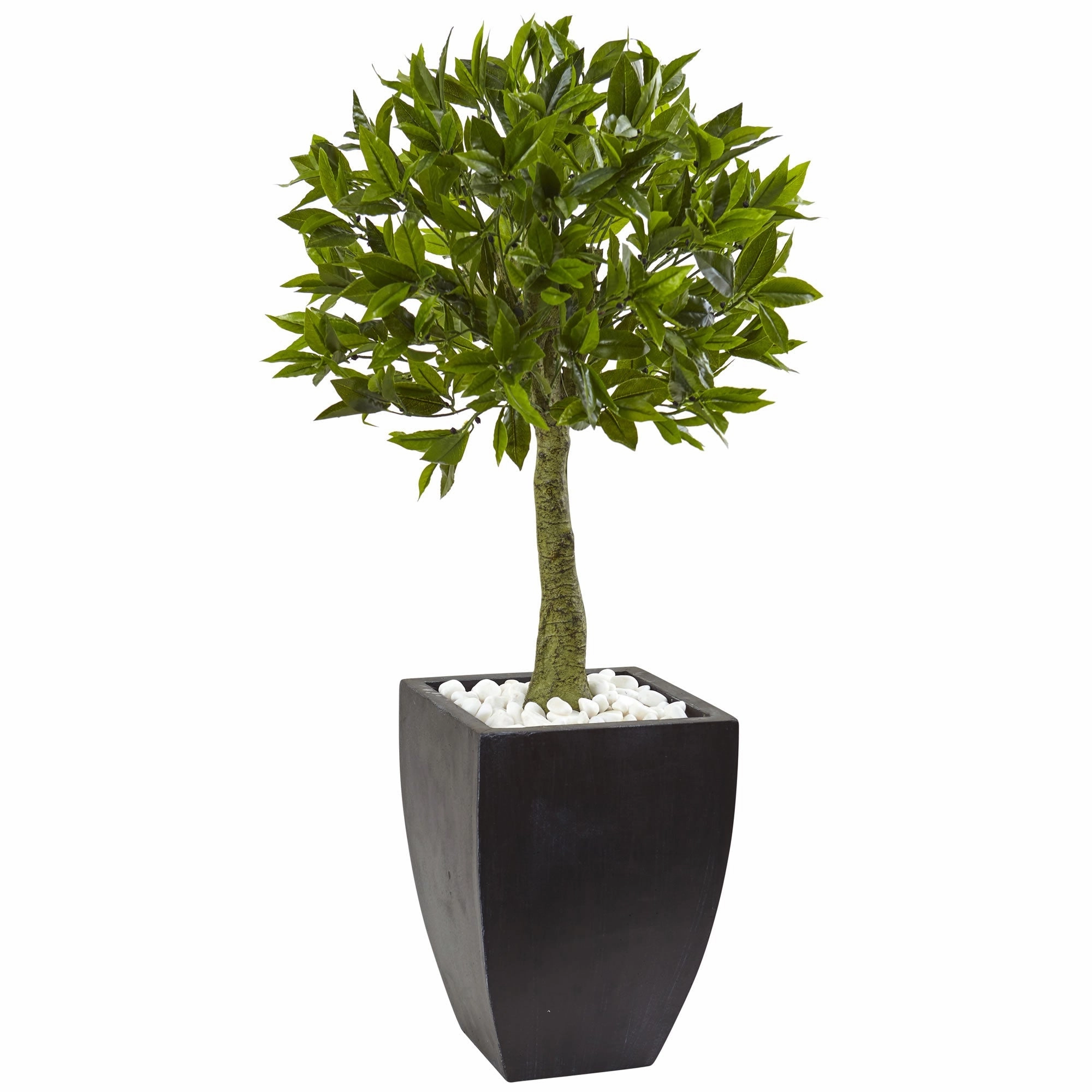 3.5' Bay Leaf Top w/Black Planter UV Rest (Indoor/Outdoor) Faux Florals floral decor outlet
