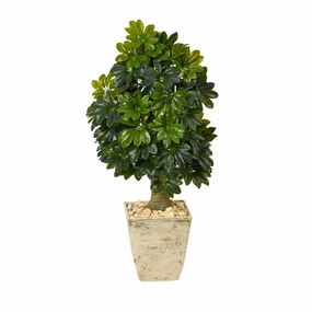 3.5' Schefflera Tree in Country White Planter (Real Touch) Faux Florals floral decor outlet