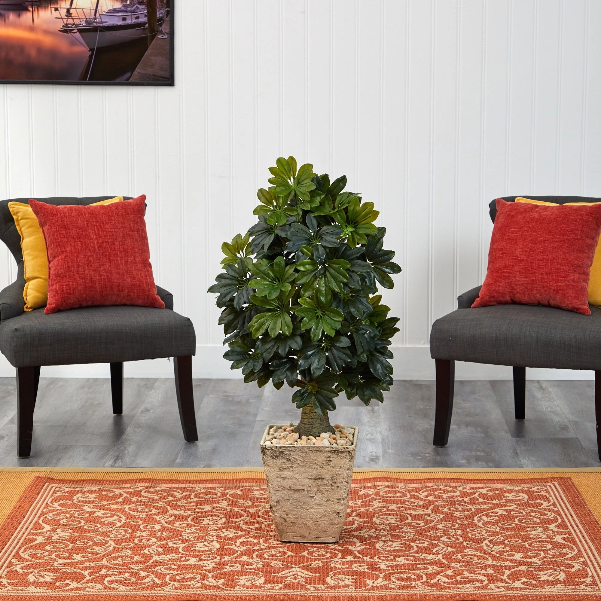 3.5' Schefflera Tree in Country White Planter (Real Touch)
