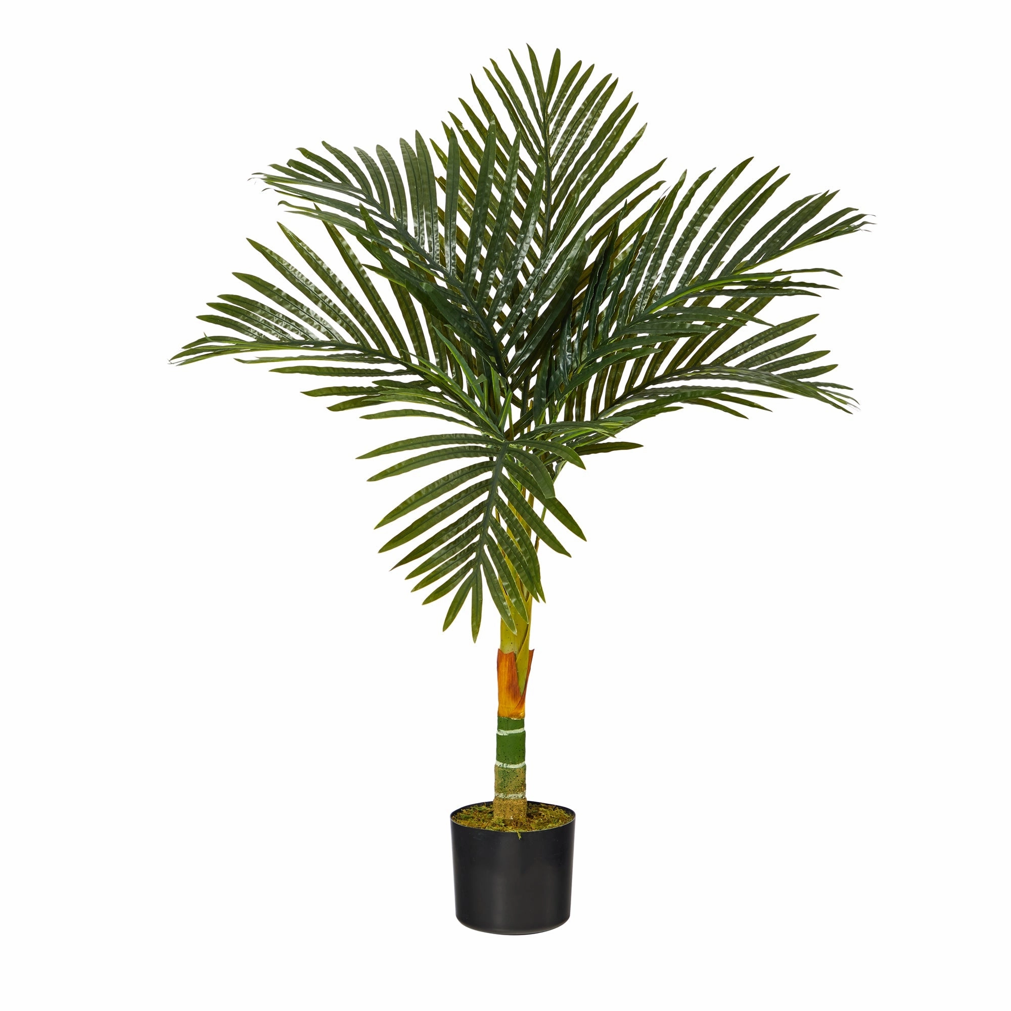 3' Golden Cane Artificial Palm Tree Faux Florals floral decor outlet
