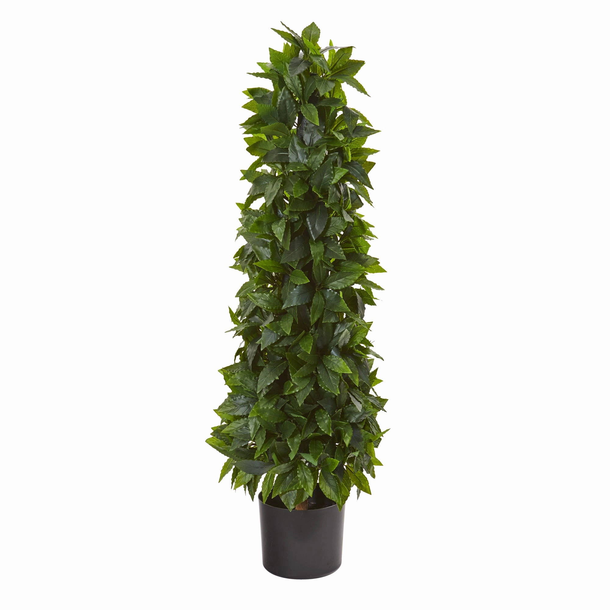 3' Sweet Bay Cone Topiary Artificial Tree Faux Florals floral decor outlet