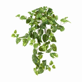 40" Pothos Hanging Bush (Set of 3) Faux Florals best price deals