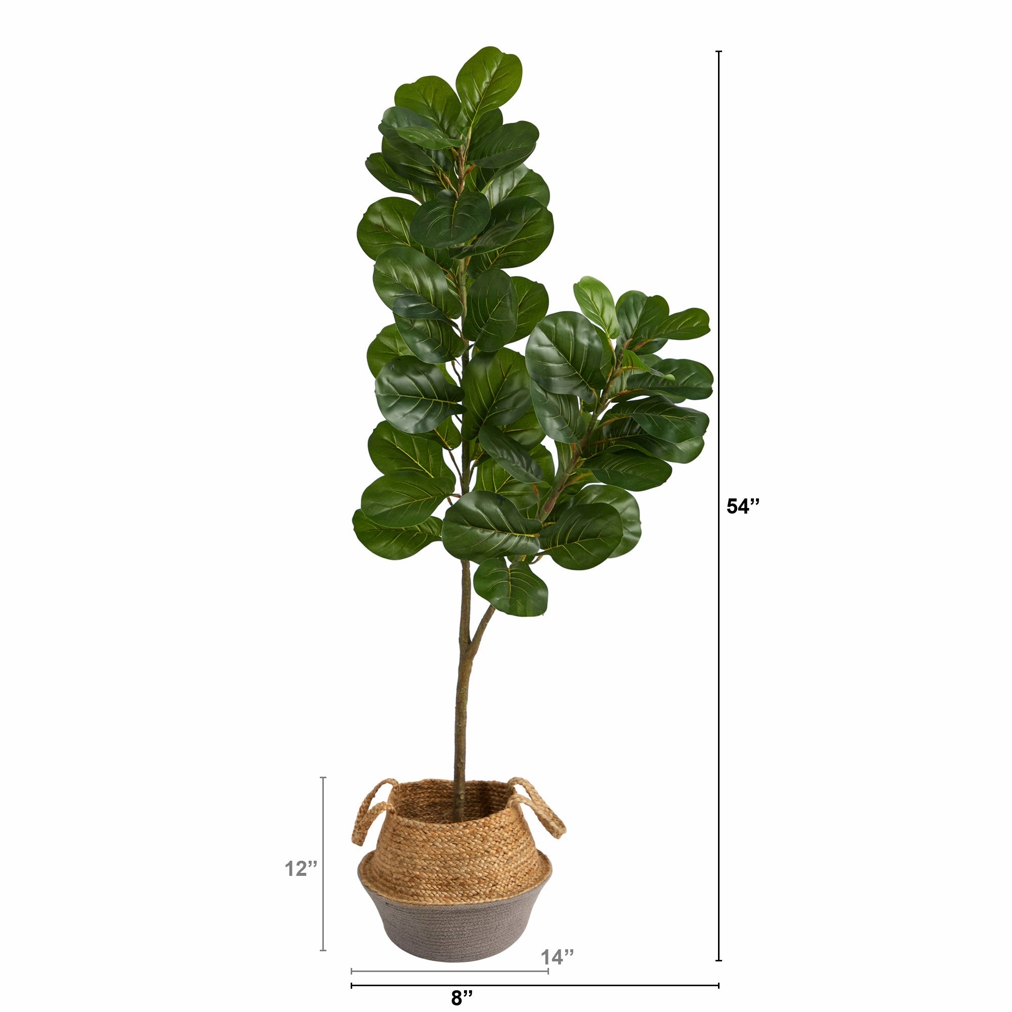 4.5' Fiddle Leaf Fig Tree in Boho Chic White Woven Planter