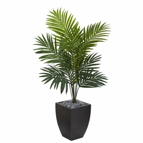 4.5' Kentia Palm Tree in Black Wash Planter Faux Florals floral decor outlet