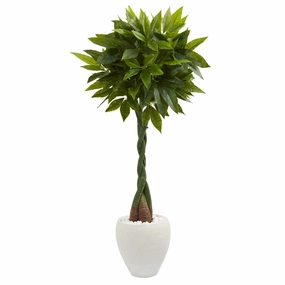 4.5' Money Artificial Tree in White Oval Planter (Real Touch) Faux Florals floral decor outlet