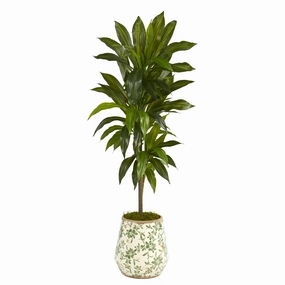 4' Dracaena Plant in Flower Print Planter (Real Touch) Faux Florals online special