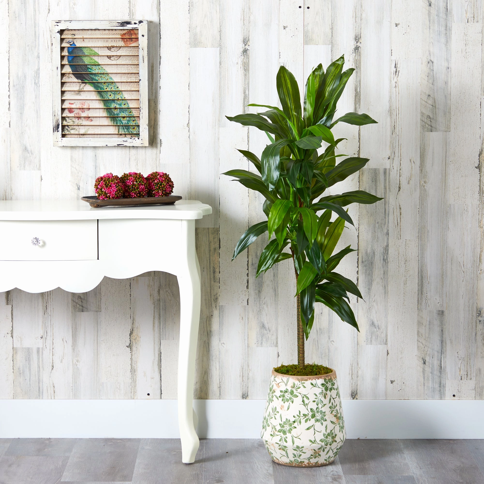 4' Dracaena Plant in Flower Print Planter (Real Touch)