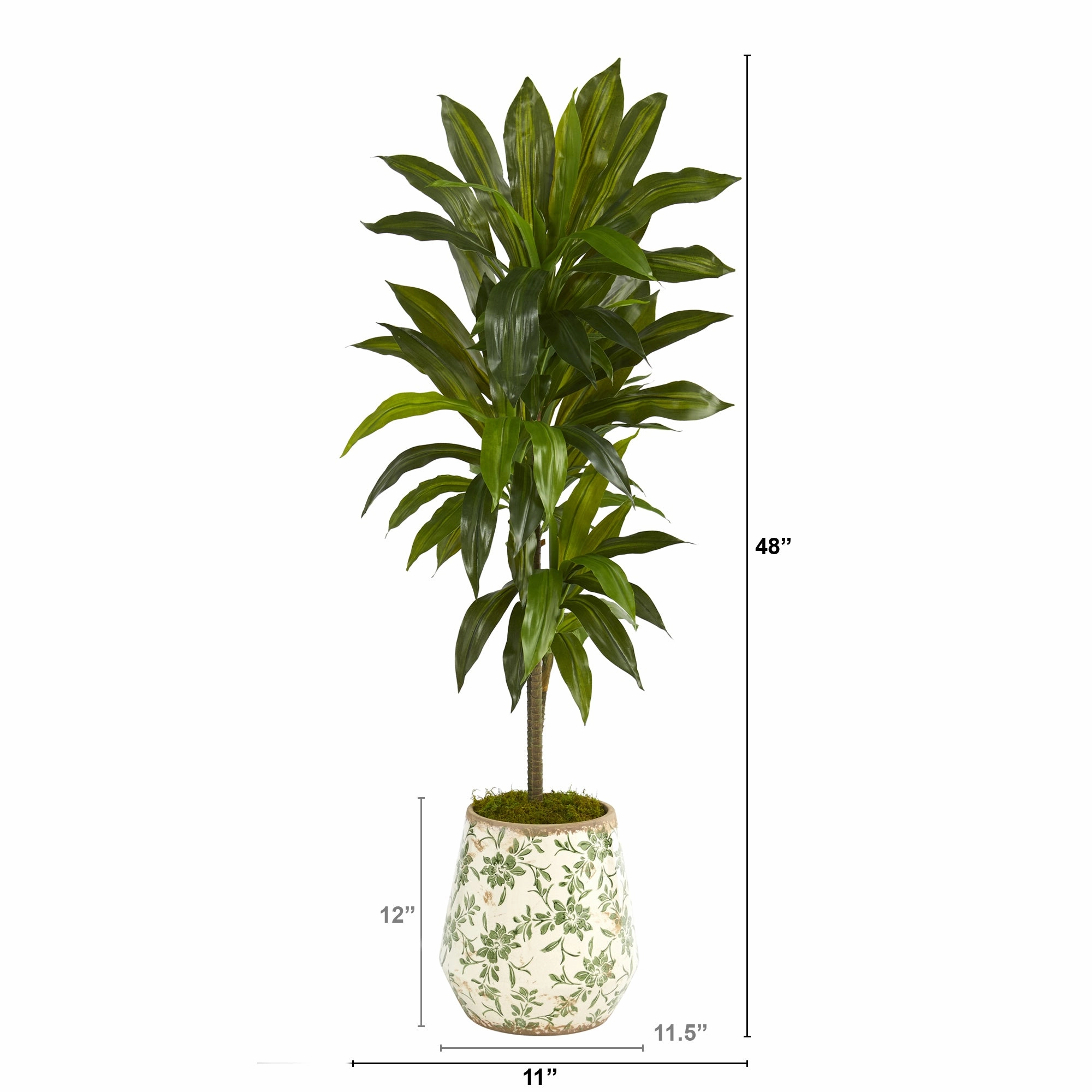 4' Dracaena Plant in Flower Print Planter (Real Touch)