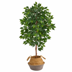 4' Ficus Tree in Boho Chic Cotton & Jute Gray Woven Planter Faux Florals best price deals