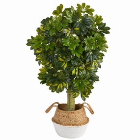 4' Schefflera Tree in Jute White Planter (Real Touch) Faux Florals cheap bouquet decor