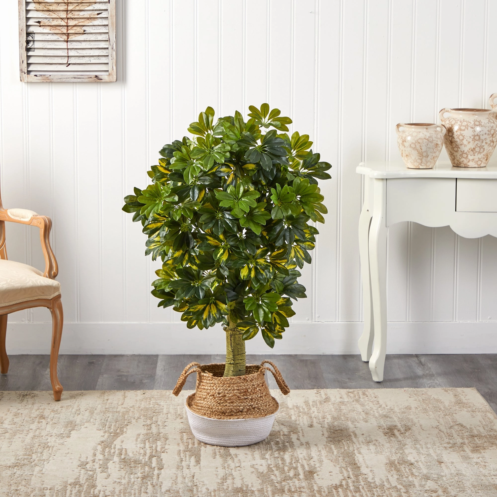 4' Schefflera Tree in Jute White Planter (Real Touch)