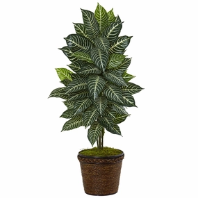 4' Zebra Plant in Coiled Rope Planter Faux Florals online special