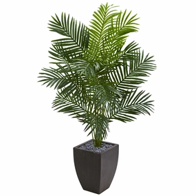 5.5' Paradise Artificial Palm Tree in Black Planter Faux Florals online special
