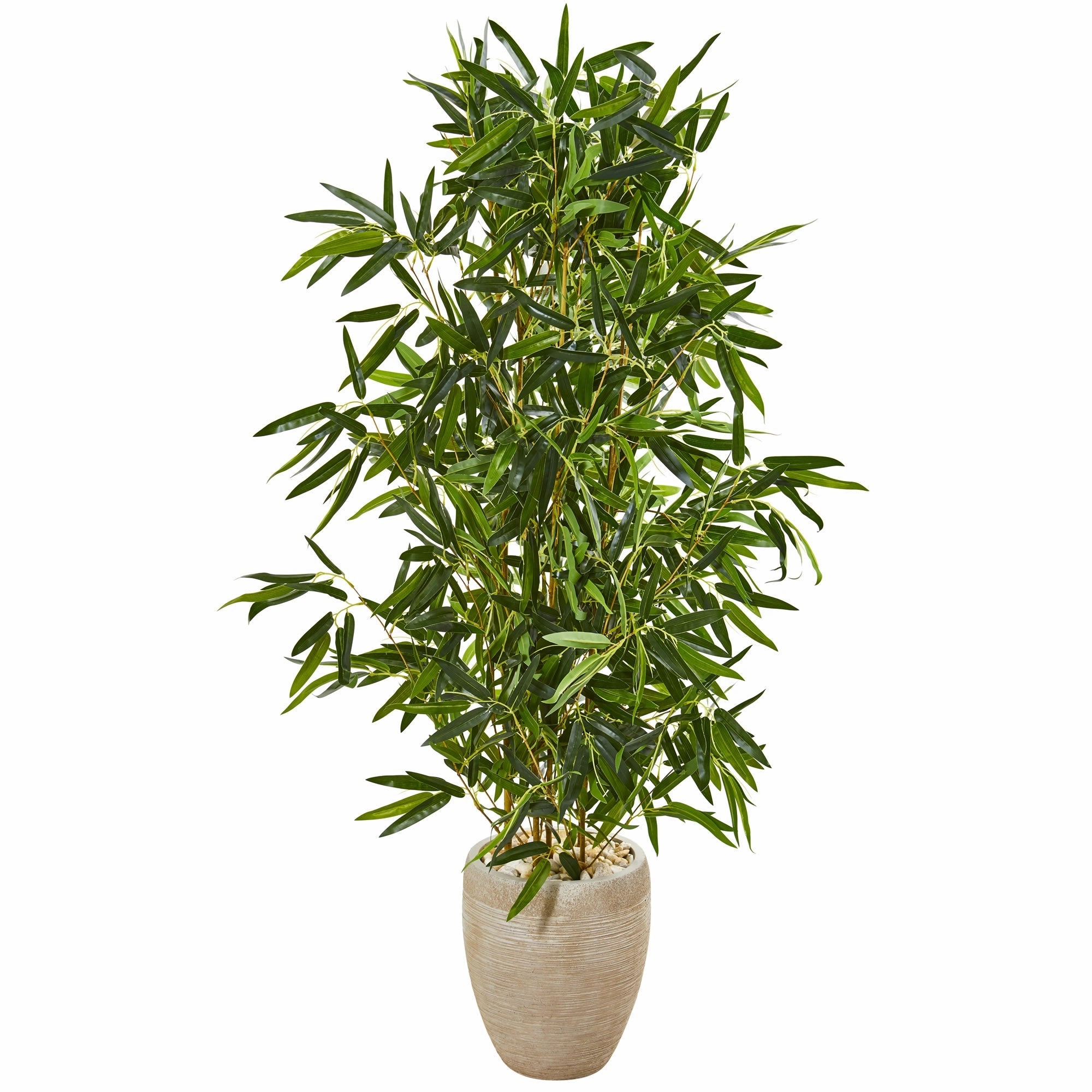 5' Bamboo Tree in Planter (Real Touch) UV (Indoor/Outdoor) Faux Florals best price deals