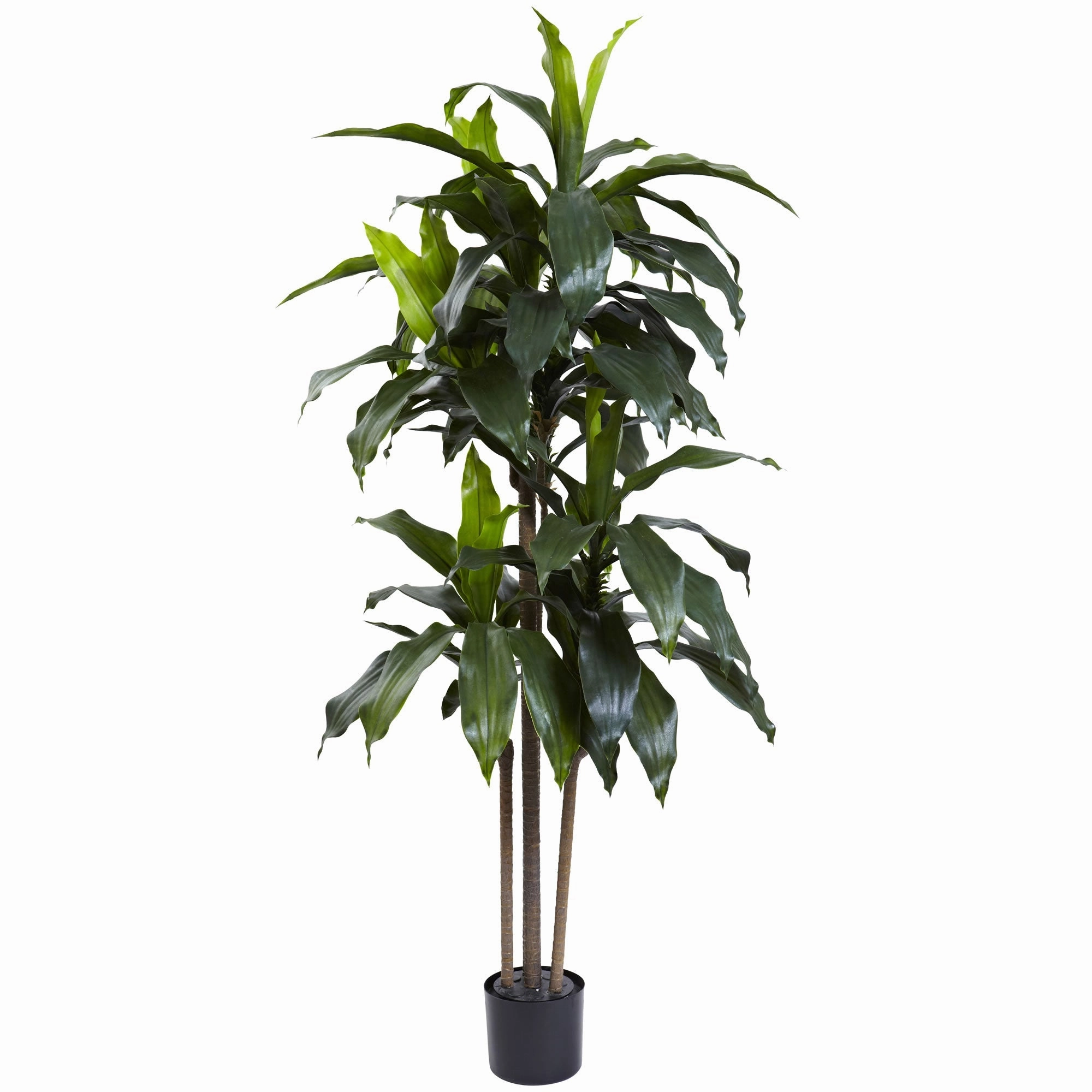 5' Dracaena Plant w/58 Lvs UV Resistant(Indoor/Outdoor) Faux Florals best price deals