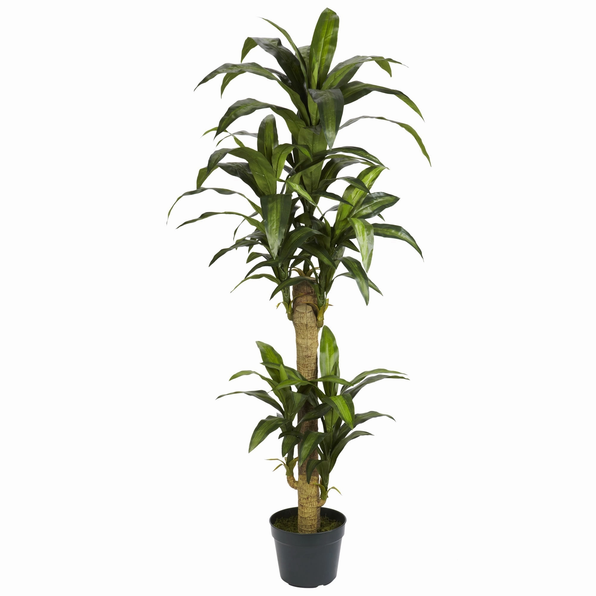 5' Yucca Silk Plant Faux Florals online special
