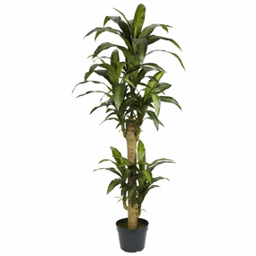 5' Yucca Silk Plant Faux Florals online special