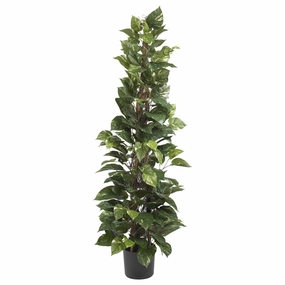 63" Pothos Climbing Silk Plant Faux Florals online special