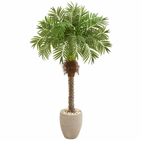 63" Robellini Palm Artificial Tree in Sandstone Planter Faux Florals cheap bouquet decor