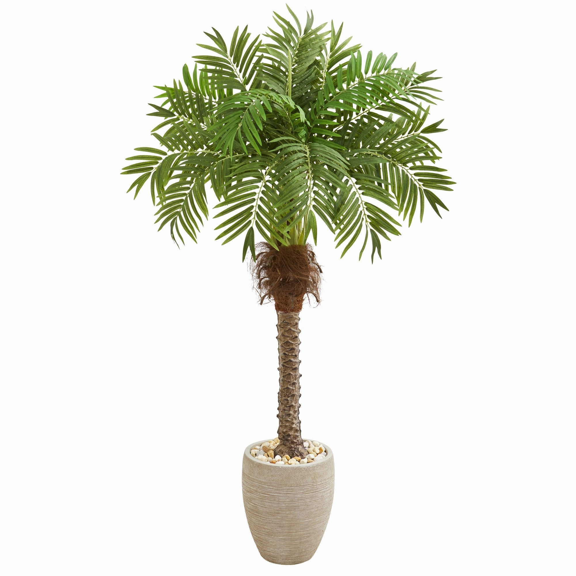 63" Robellini Palm Artificial Tree in Sandstone Planter Faux Florals cheap bouquet decor