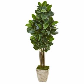 63" Rubber Leaf Artificial Tree in Country White Planter Faux Florals best price deals